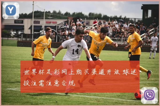 世界杯足彩网上购买渠道开放 球迷投注需注意合规