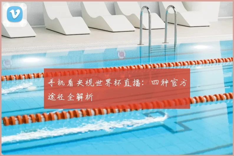 手机看央视世界杯直播:四种官方途径全解析
