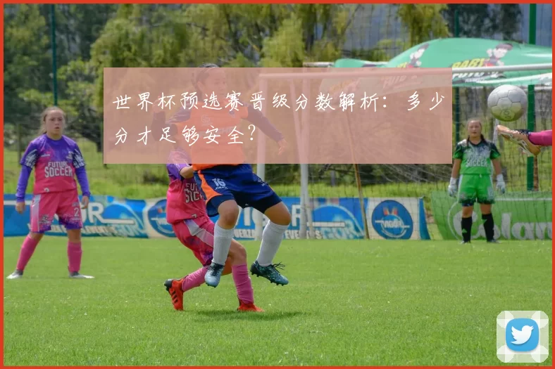 世界杯预选赛晋级分数解析:多少分才足够安全?
