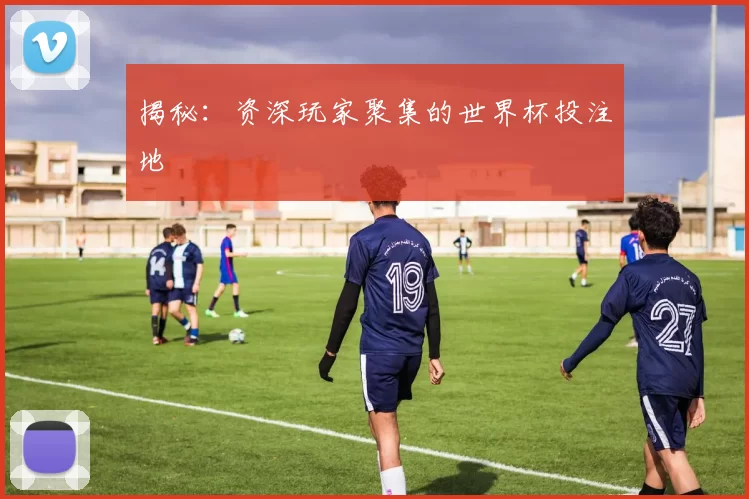 揭秘:资深玩家聚集的世界杯投注地