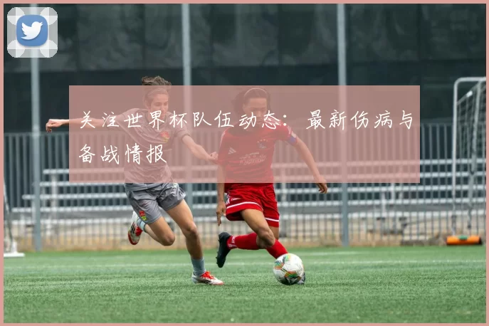 关注世界杯队伍动态：最新伤病与备战情报