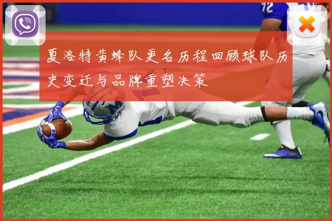 夏洛特黄蜂队更名历程回顾球队历史变迁与品牌重塑决策