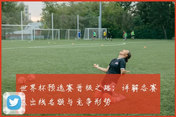 世界杯预选赛晋级之路:详解各赛区出线名额与竞争形势