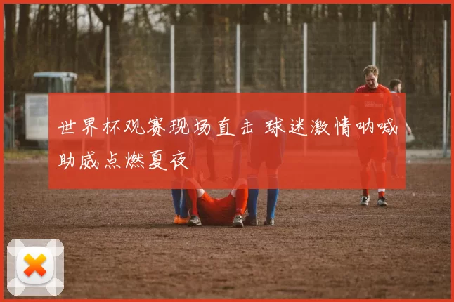 世界杯观赛现场直击 球迷激情呐喊助威点燃夏夜