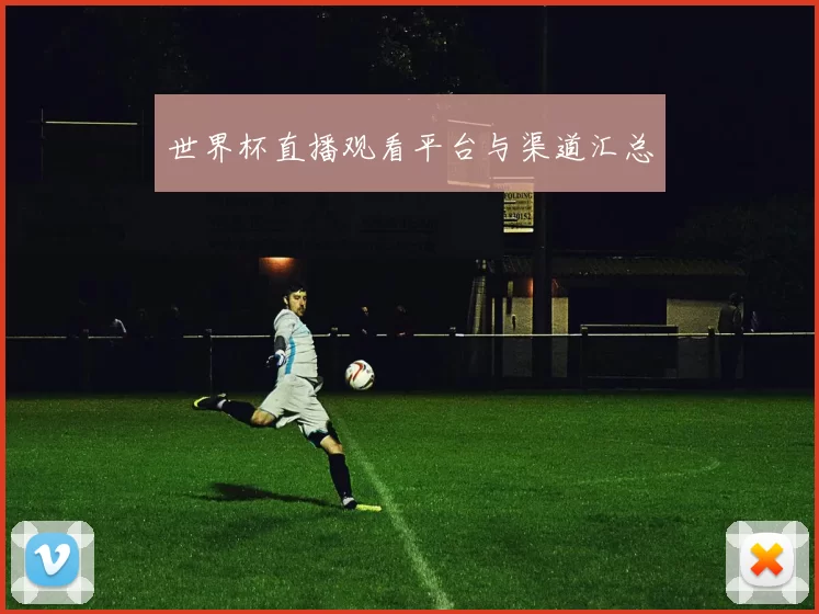 世界杯直播观看平台与渠道汇总