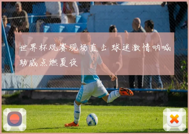 世界杯观赛现场直击 球迷激情呐喊助威点燃夏夜