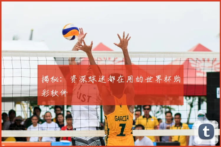 揭秘：资深球迷都在用的世界杯购彩软件