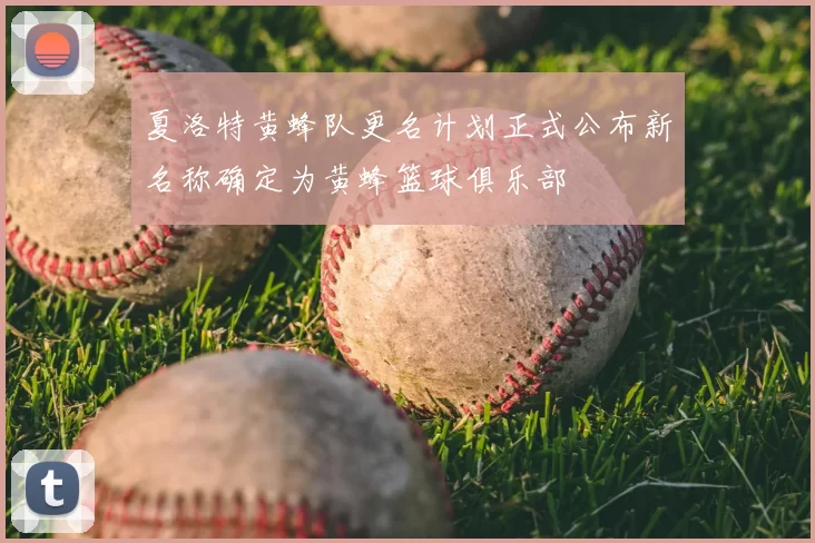 夏洛特黄蜂队更名计划正式公布新名称确定为黄蜂篮球俱乐部