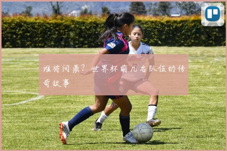谁将问鼎?世界杯前几名队伍的传奇故事