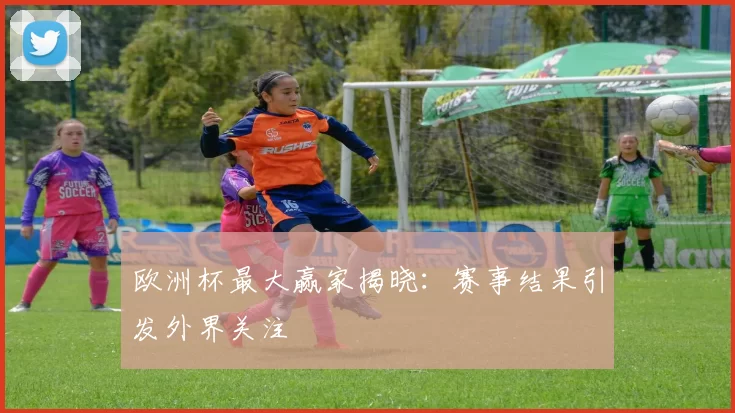 欧洲杯最大赢家揭晓:赛事结果引发外界关注
