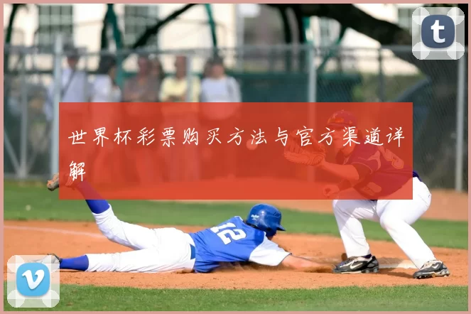 世界杯彩票购买方法与官方渠道详解