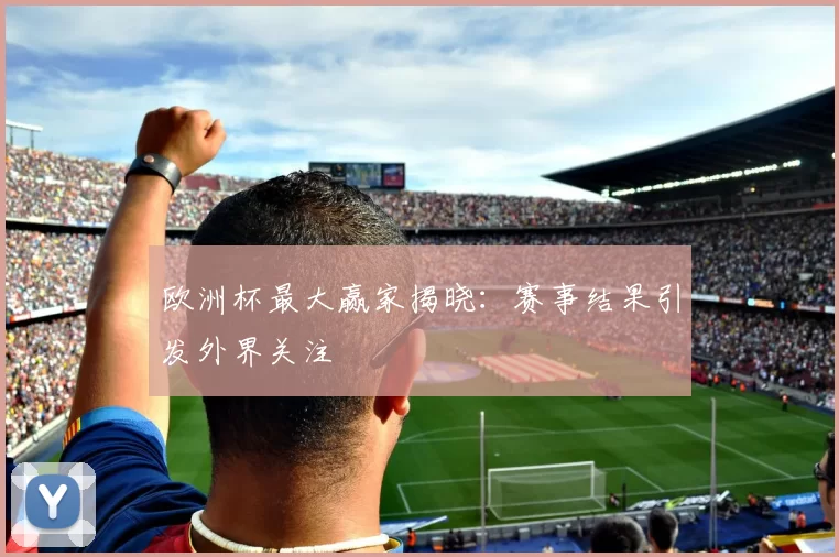 欧洲杯最大赢家揭晓：赛事结果引发外界关注