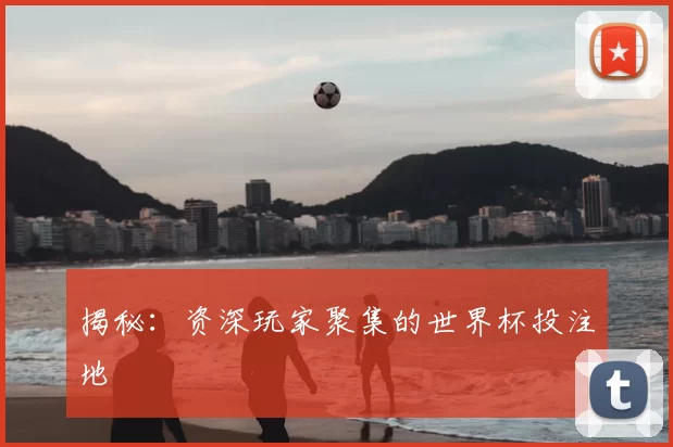 揭秘:资深玩家聚集的世界杯投注地